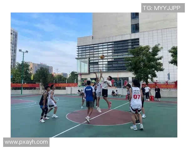 与杨磊深入对话探讨他辉煌的篮球生涯与未来展望