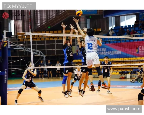 广州排球队转型之路：从传统强队到现代竞技的全新挑战与机遇