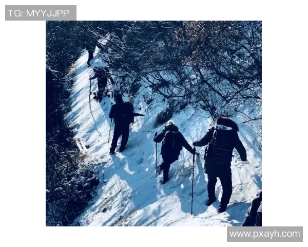 张秀英亲述攀岩技巧与心路历程分享攀登之美与挑战