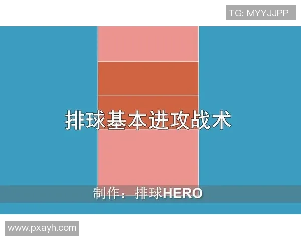 杭州排球队中路突破战术解析与实战应用探讨