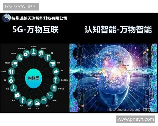 CSGO巨献揭秘LNG技术背后的秘密与创新应用 CSGO巨献揭秘LNG技术背后的秘密与创新应用